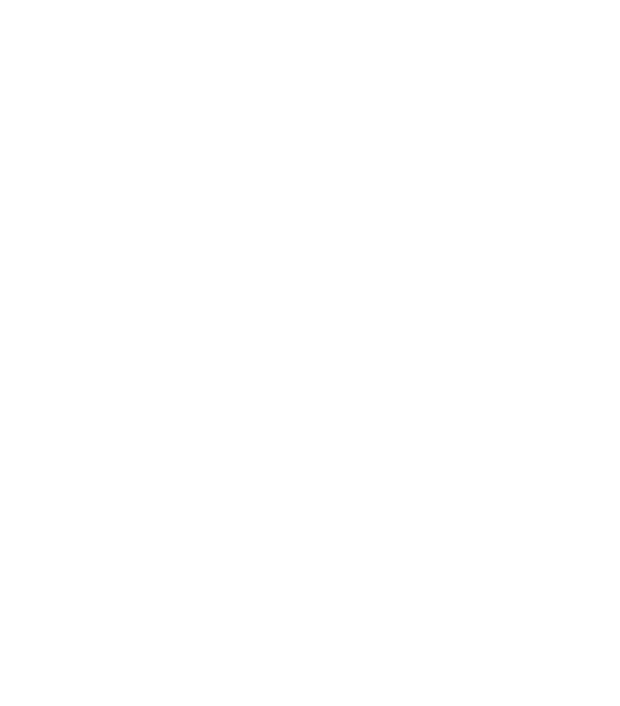 Vertex Forge Logo